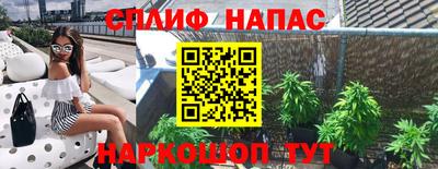 прущие крисы Абакан