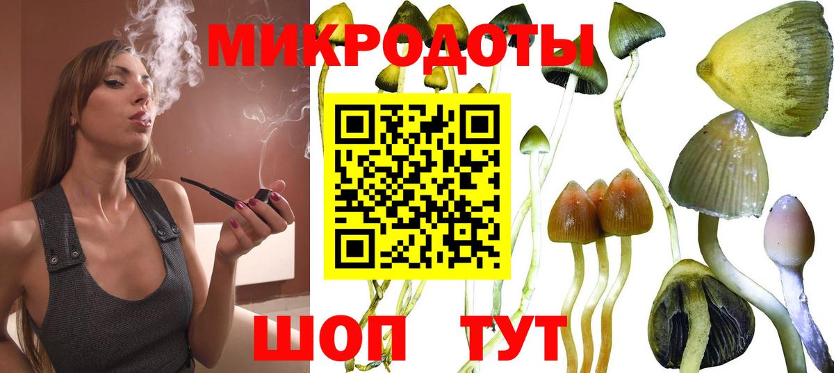 Алейск  Псилоцибиновые грибы Psilocybe  Псилоцибиновые грибы Psilocybine cubensis  Вход с VPN 